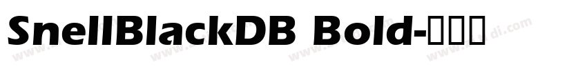 SnellBlackDB Bold字体转换